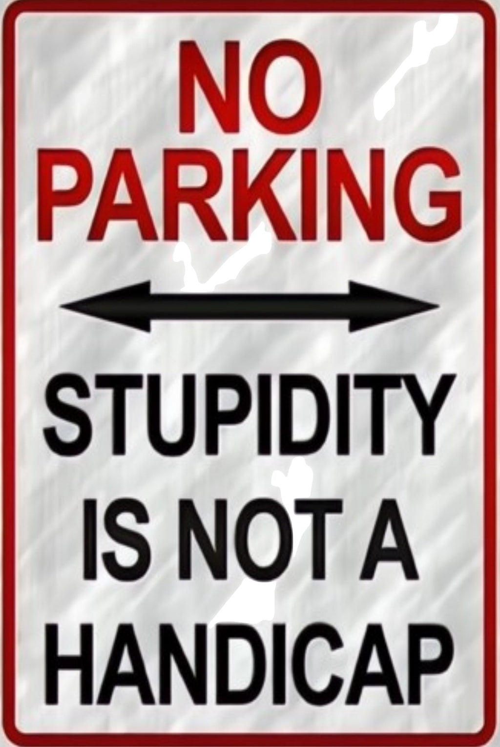 Metal sign with text 'No Parking Stupidity is not a Handicap' on a reflective surface.