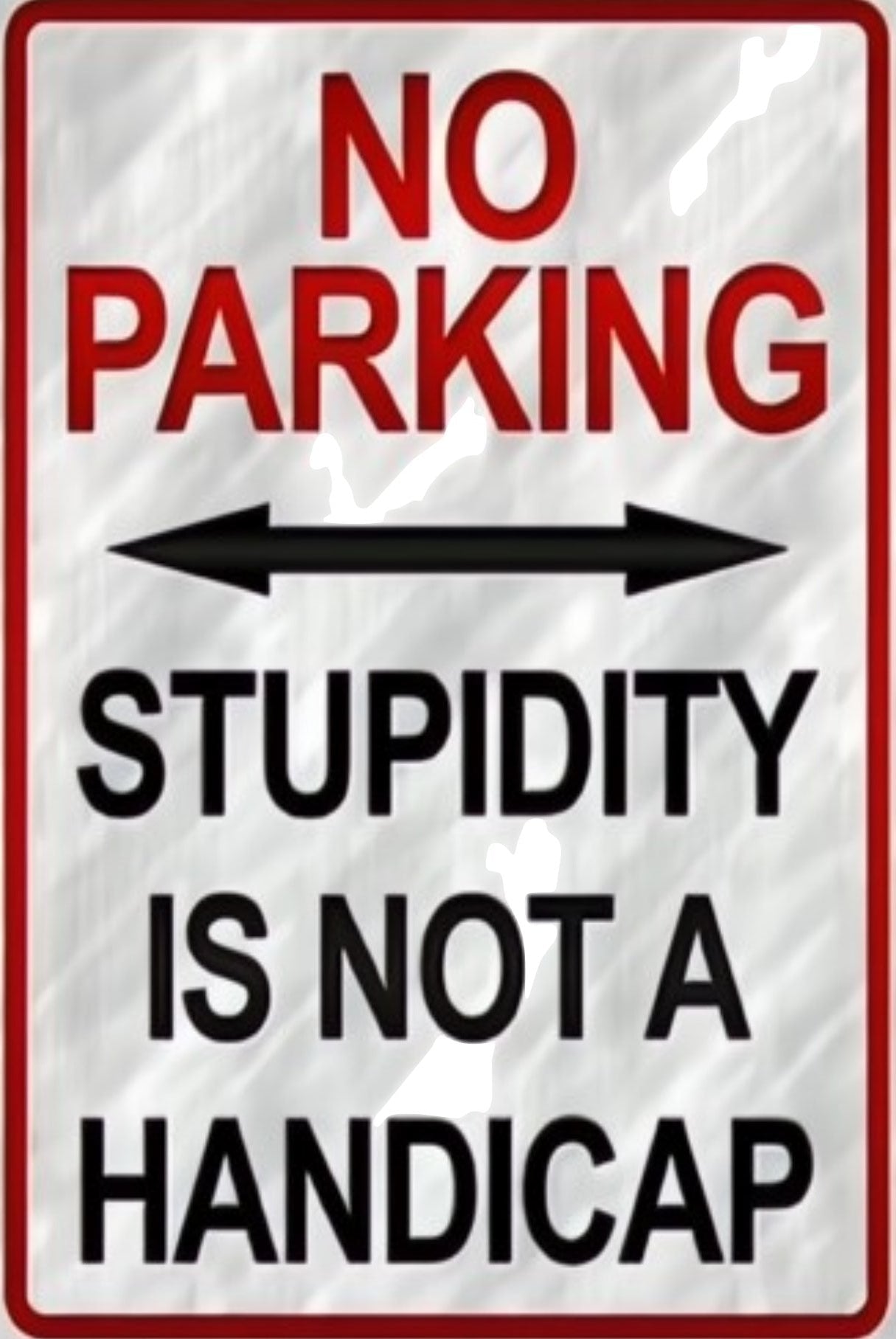 Metal sign with text 'No Parking Stupidity is not a Handicap' on a reflective surface.